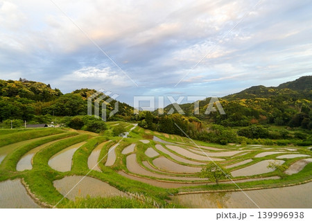 【千葉県】田植の済んだ大山千枚田 【千葉県】田植の済んだ大山千枚田 139996938