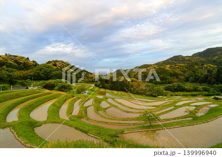 【千葉県】田植の済んだ大山千枚田 【千葉県】田植の済んだ大山千枚田 139996940