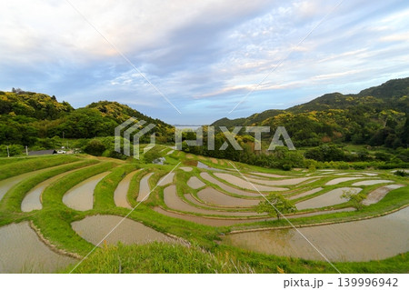 【千葉県】田植の済んだ大山千枚田 【千葉県】田植の済んだ大山千枚田 139996942