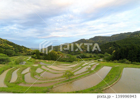 【千葉県】田植の済んだ大山千枚田 【千葉県】田植の済んだ大山千枚田 139996943