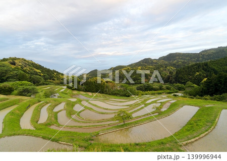 【千葉県】田植の済んだ大山千枚田 139996944