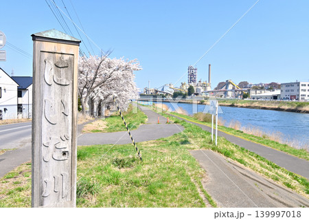 桜並木の河川敷遊歩道 桜並木の河川敷遊歩道 139997018
