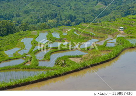 内成の水田(大分県別府市) 内成の水田(大分県別府市) 139997430