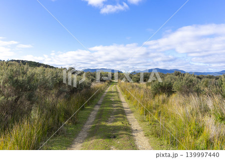 tranquil nature with blue sky at Wilsons Promontory National Park Victoria, Australia. 139997440