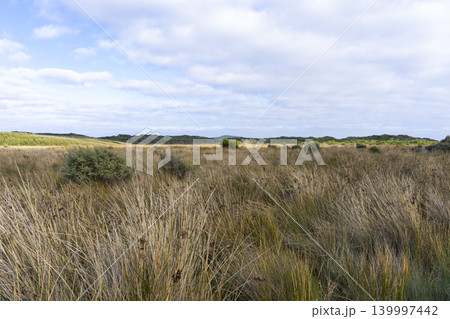 tranquil nature with blue sky at Wilsons Promontory National Park Victoria, Australia. 139997442