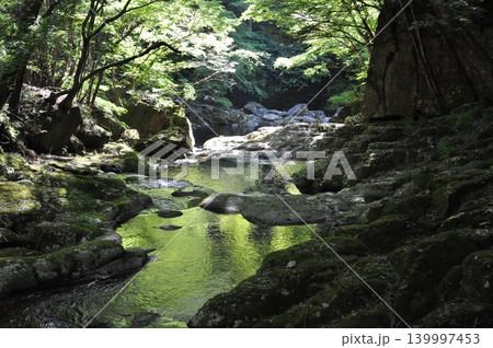 五月、赤目四十八滝で撮った渓流 五月、赤目四十八滝で撮った渓流 139997453