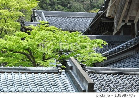五月、永平寺の建物群の重なり合った瓦屋根 五月、永平寺の建物群の重なり合った瓦屋根 139997478
