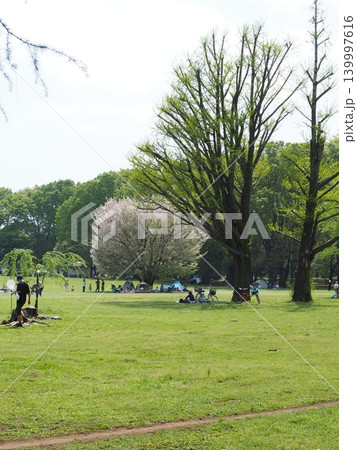 小金井公園 小金井公園 139997616