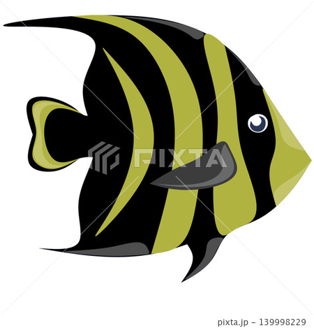 Cute black and yellow angelfish vector illustration isolated on white background. 139998229