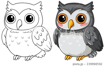Cute Cartoon Owl Illustration in Color and Line Art Versions 139998592