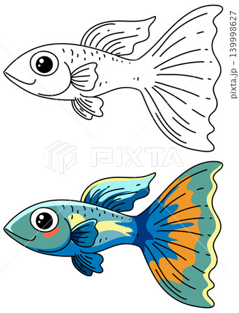 Cute Guppy Fish Vector Illustration with Coloring Page Version Cute Guppy Fish Vector Illustration with Coloring Page Version 139998627