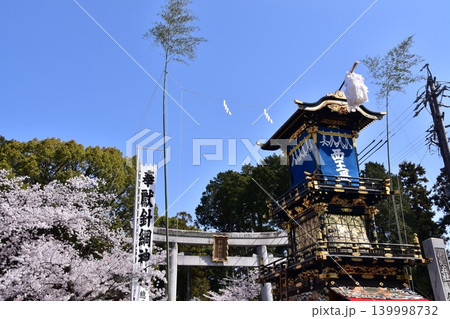 愛知県の犬山祭り 満開の桜と針綱神社の鳥居 車山と呼ばれる山車が神社の前を通過する光景 愛知県の犬山祭り 満開の桜と針綱神社の鳥居 車山と呼ばれる山車が神社の前を通過する光景 139998732
