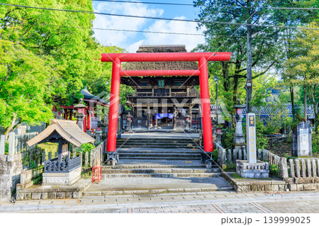 初夏の青井阿蘇神社 熊本県人吉市 初夏の青井阿蘇神社 熊本県人吉市 139999025