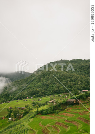 ecology travel with camping outdoor relax in rice field at chiangmai thailand in raining season 139999055