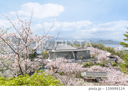 春の千光寺公園を彩る桜と展望施設の風景 春の千光寺公園を彩る桜と展望施設の風景 139999124