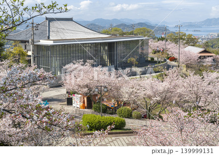 広島県尾道市の千光寺公園に咲く桜と展望風景 広島県尾道市の千光寺公園に咲く桜と展望風景 139999131