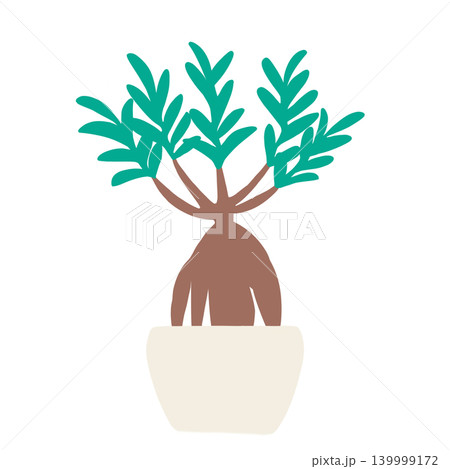 シンプルな観葉植物 139999172
