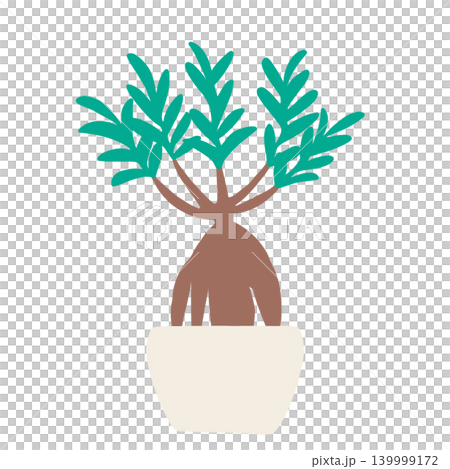 シンプルな観葉植物 139999172