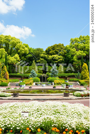 京都府立植物園の花壇の風景 140000164