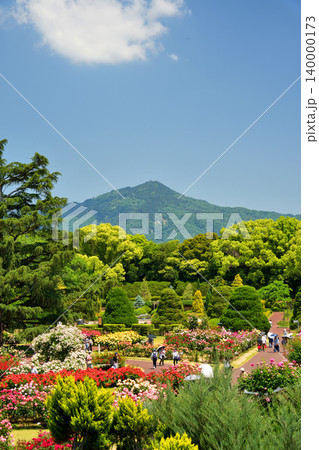 京都府立植物園のカラフルなバラ園 140000173