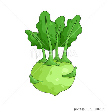 Illustration of Kohlrabi  140000793