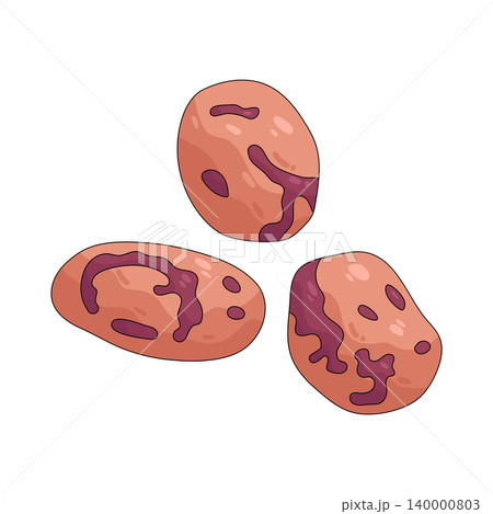 Illustration of Bean Illustration of Bean 140000803