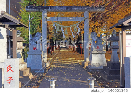 武蔵野神社(小平) 武蔵野神社(小平) 140001546