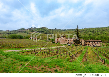 Scenic vineyard landscape in Tuscany under cloudy skies Scenic vineyard landscape in Tuscany under cloudy skies 140001794