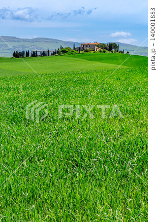 Rolling green hills with a rustic farmhouse, Tuscany, Italy. Rolling green hills with a rustic farmhouse, Tuscany, Italy. 140001883