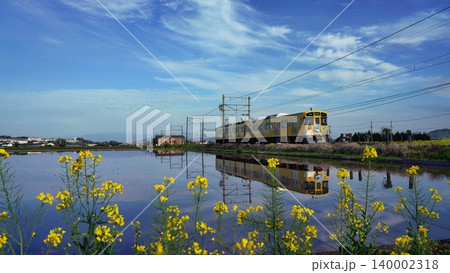 菜の花と近江鉄道 菜の花と近江鉄道 140002318