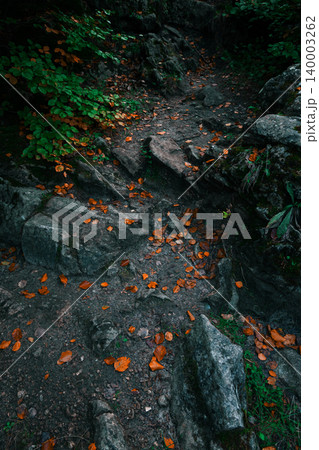 Autumn forest path winding through rocky terrain with fallen leaves 140003262