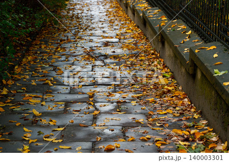 Wet paved walkway covered in fallen autumn leaves after a rain shower Wet paved walkway covered in fallen autumn leaves after a rain shower 140003301