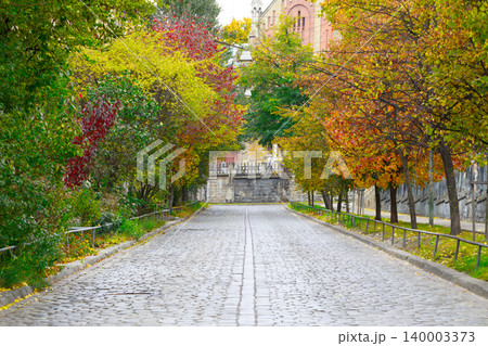 cobble stone aged road in old city street trees tunnel October colorful leaves 140003373
