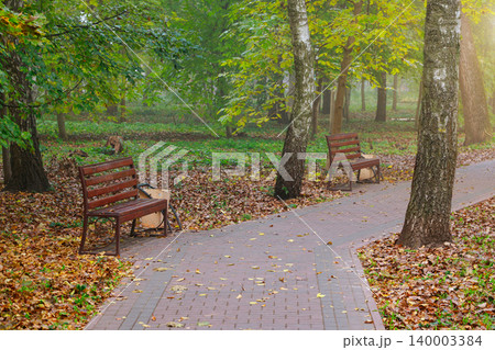 Majestic autumn park pathway lined with trees and a solitary bench bathed in sunlight Majestic autumn park pathway lined with trees and a solitary bench bathed in sunlight 140003384