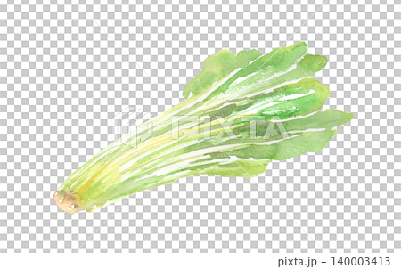 壬生菜の水彩イラスト 壬生菜の水彩イラスト 140003413
