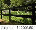 花菖蒲 花菖蒲 140003601