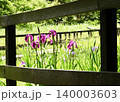 花菖蒲 花菖蒲 140003603