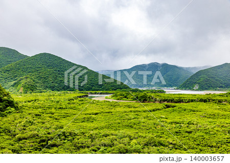 奄美大島 マングローブ林の風景 奄美大島 マングローブ林の風景 140003657