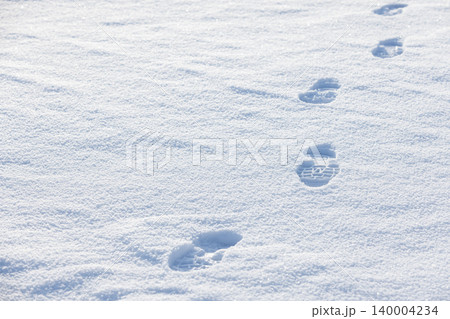 A trail of single-file footprints crosses pristine fresh snow 140004234
