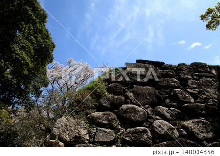 佐賀県の歴史的観光名所、「名護屋城跡」 満開の桜で賑わう春の風景 佐賀県の歴史的観光名所、「名護屋城跡」 満開の桜で賑わう春の風景 140004356