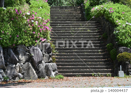 色鮮やかなツツジに囲まれた、新緑がまぶしい公園の石階段 140004437