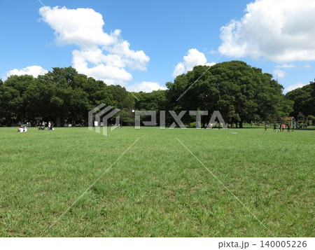 夏の代々木公園(中央広場) 夏の代々木公園(中央広場) 140005226