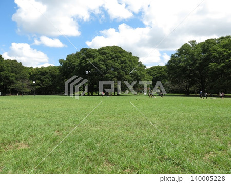 夏の代々木公園(中央広場) 夏の代々木公園(中央広場) 140005228