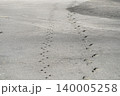 砂浜に残る人と犬の足跡 140005258