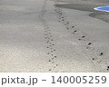 砂浜に残る人と犬の足跡 140005259