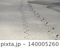 砂浜に残る人と犬の足跡 140005260