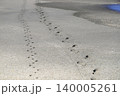 砂浜に残る人と犬の足跡 140005261