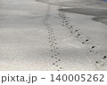 砂浜に残る人と犬の足跡 140005262
