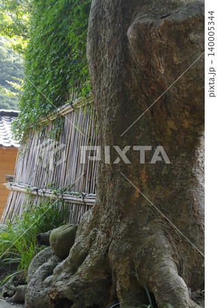 夏の石川県輪島市の間垣の里は、竹で組んだ三M程の塀により海からの強風から住民を守ります。 夏の石川県輪島市の間垣の里は、竹で組んだ三M程の塀により海からの強風から住民を守ります。 140005344