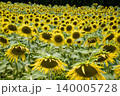 ひまわり畑 140005728